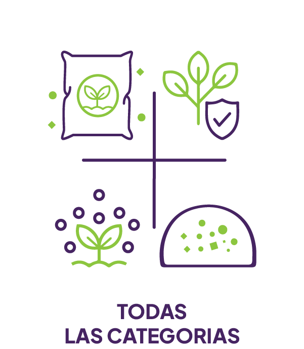 TODAS LAS CATEGORIAS